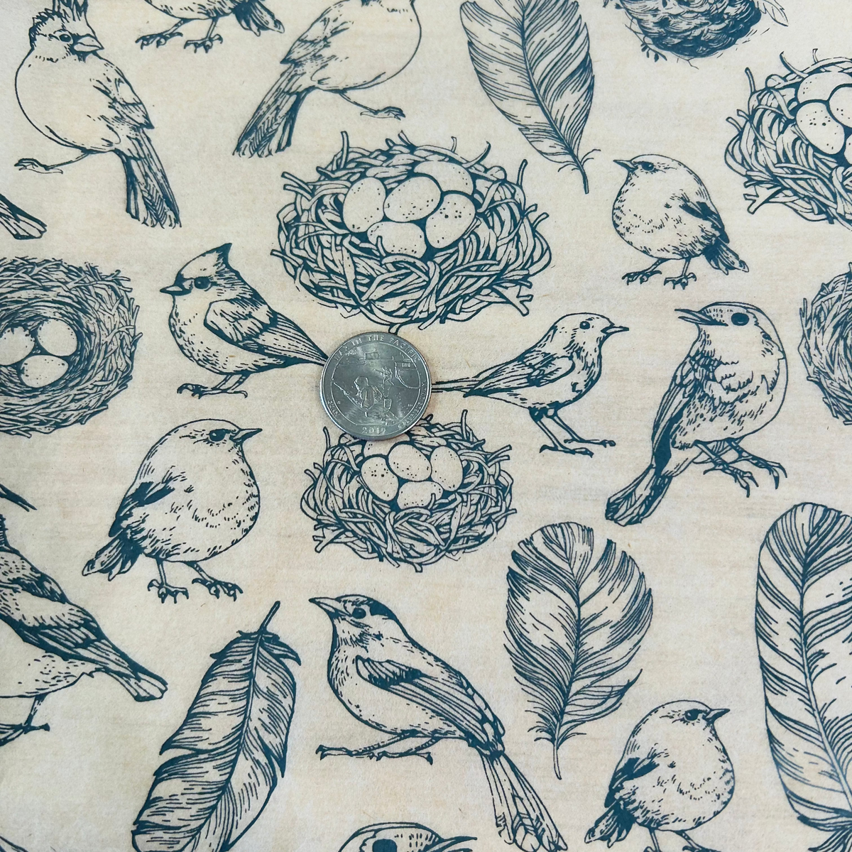Nests - Underglaze Transfer Sheet