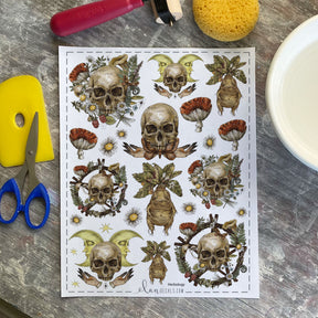 Herbology - Overglaze Decal Sheet