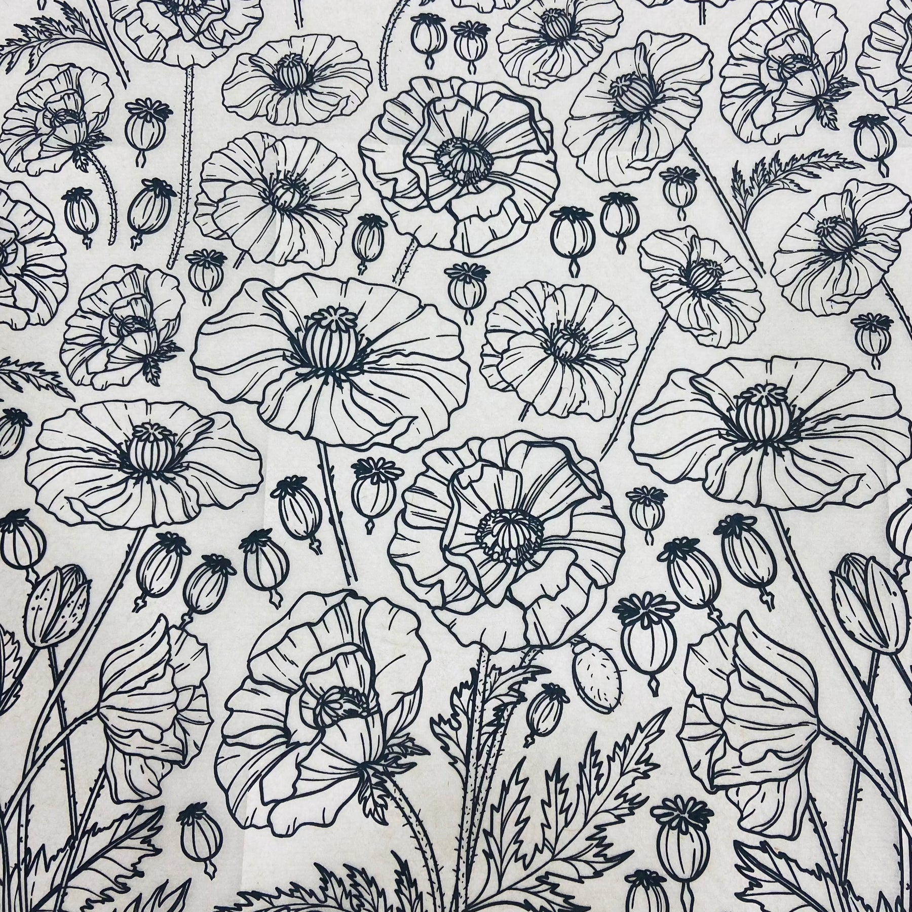 Poppies - Underglaze Transfer Sheet - Black