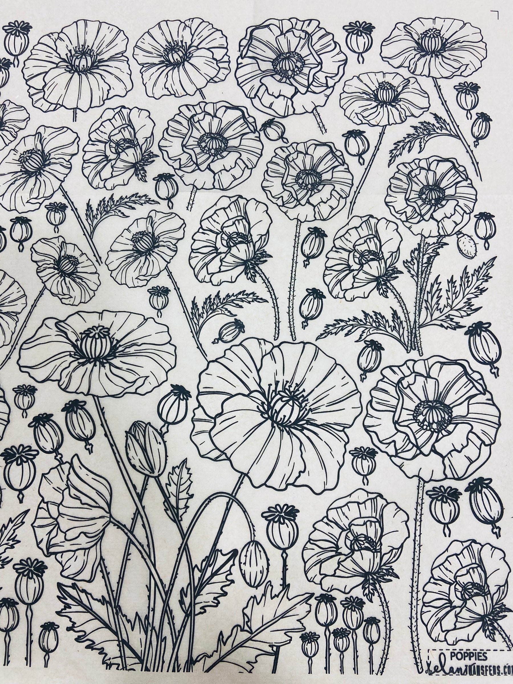 Poppies - Underglaze Transfer Sheet - Black