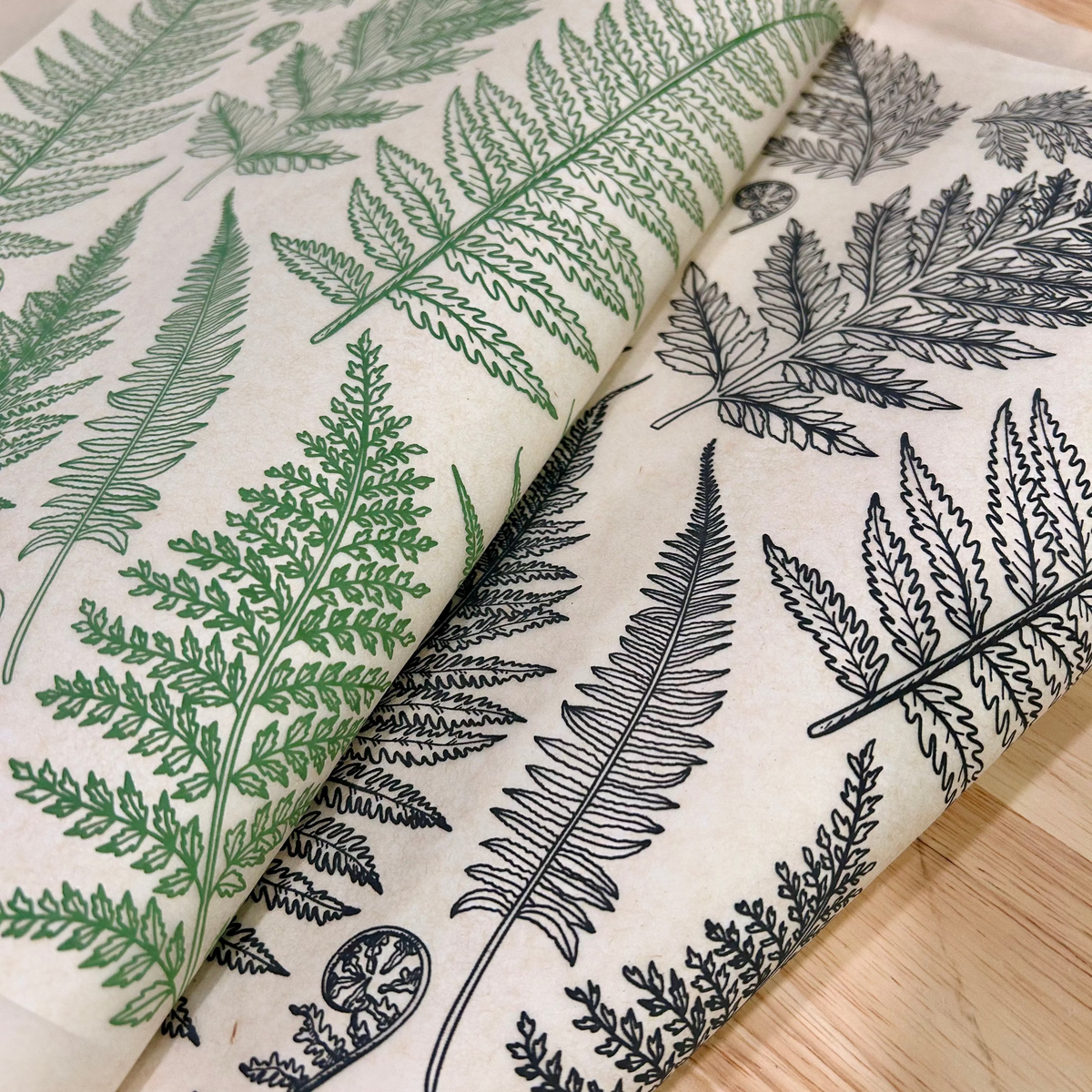 Jungle Ferns - Underglaze Transfer Sheet