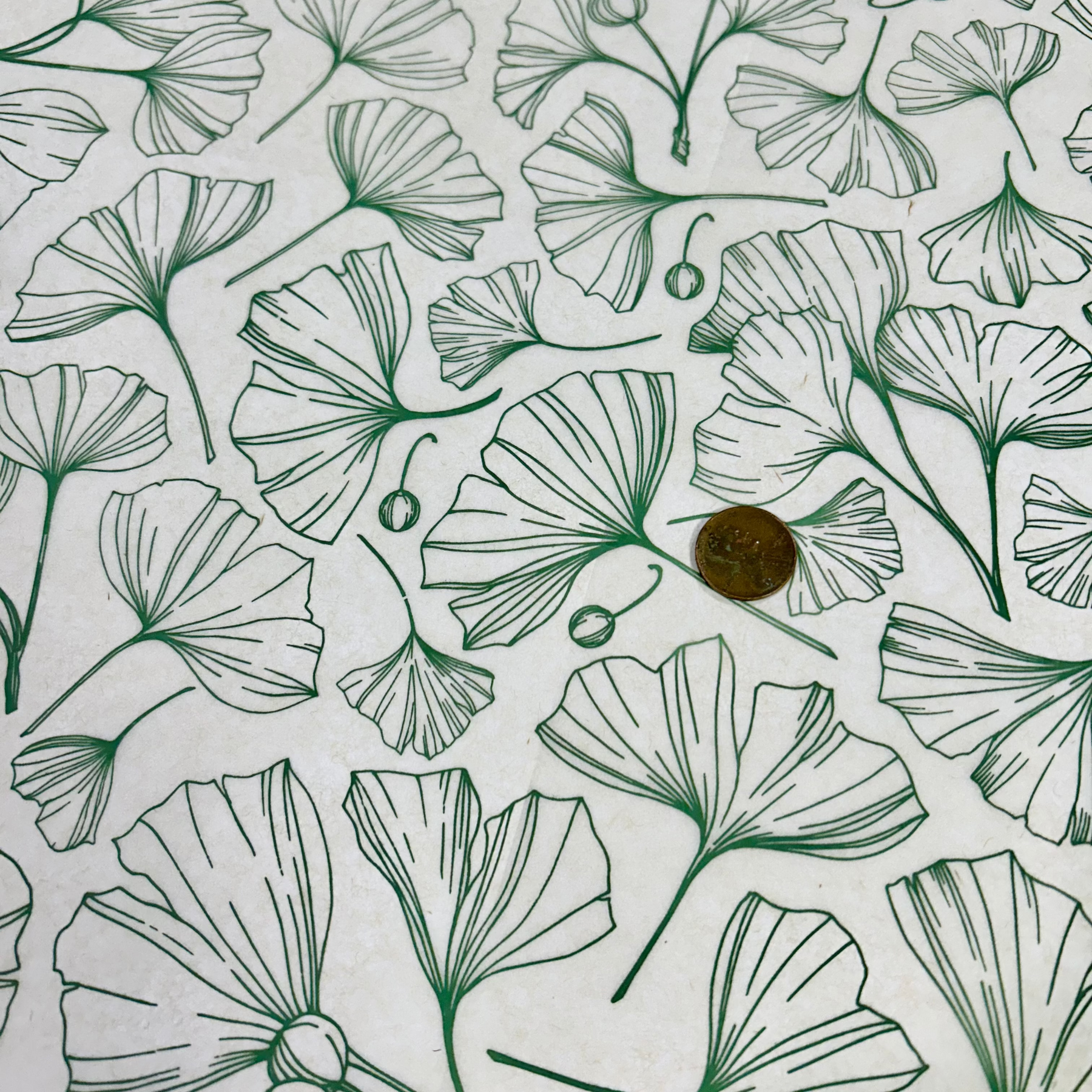 Ginkgo Berries - Underglaze Transfer Sheet