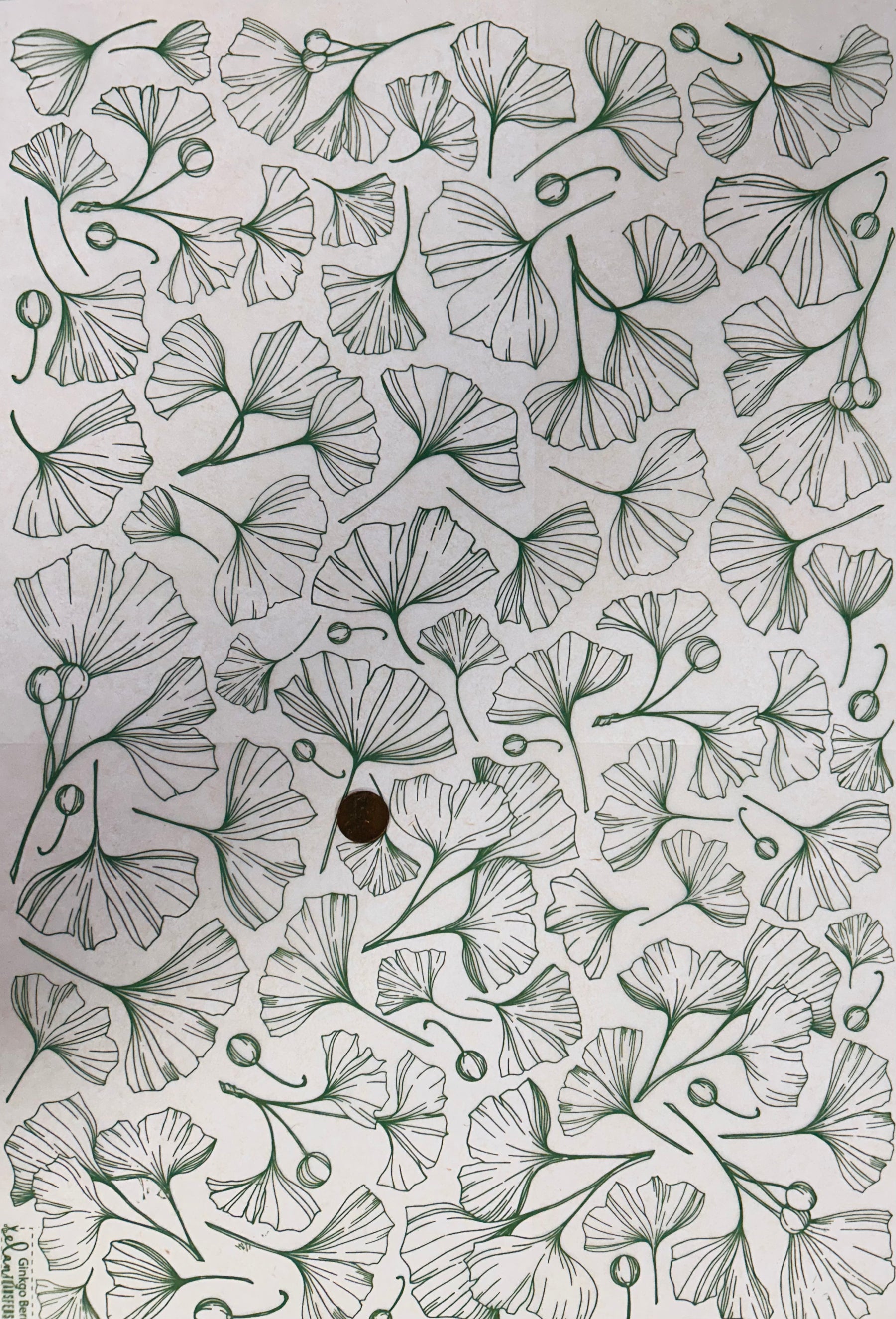 Ginkgo Berries - Underglaze Transfer Sheet