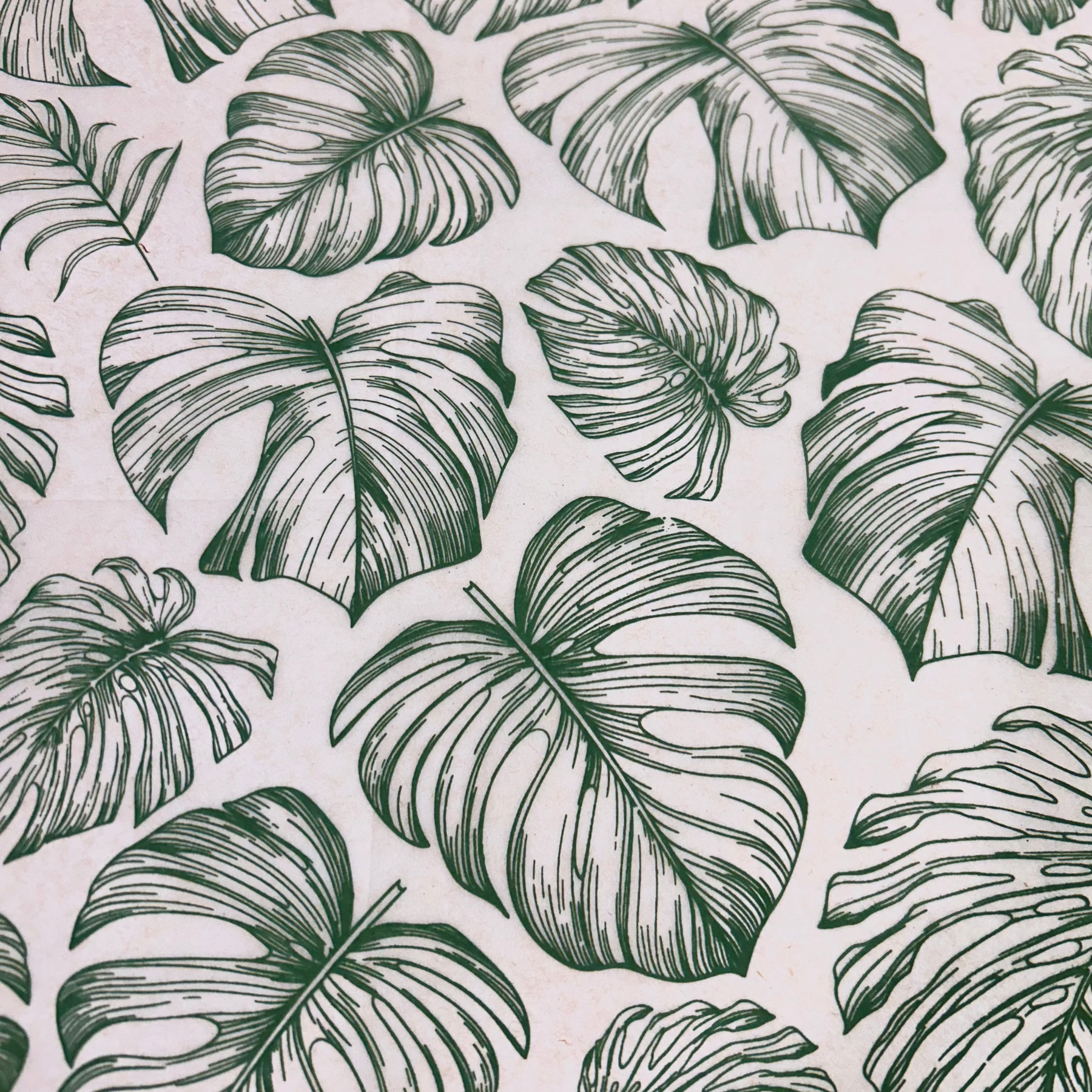 Rainforest Leaves - Underglaze Transfer Sheet