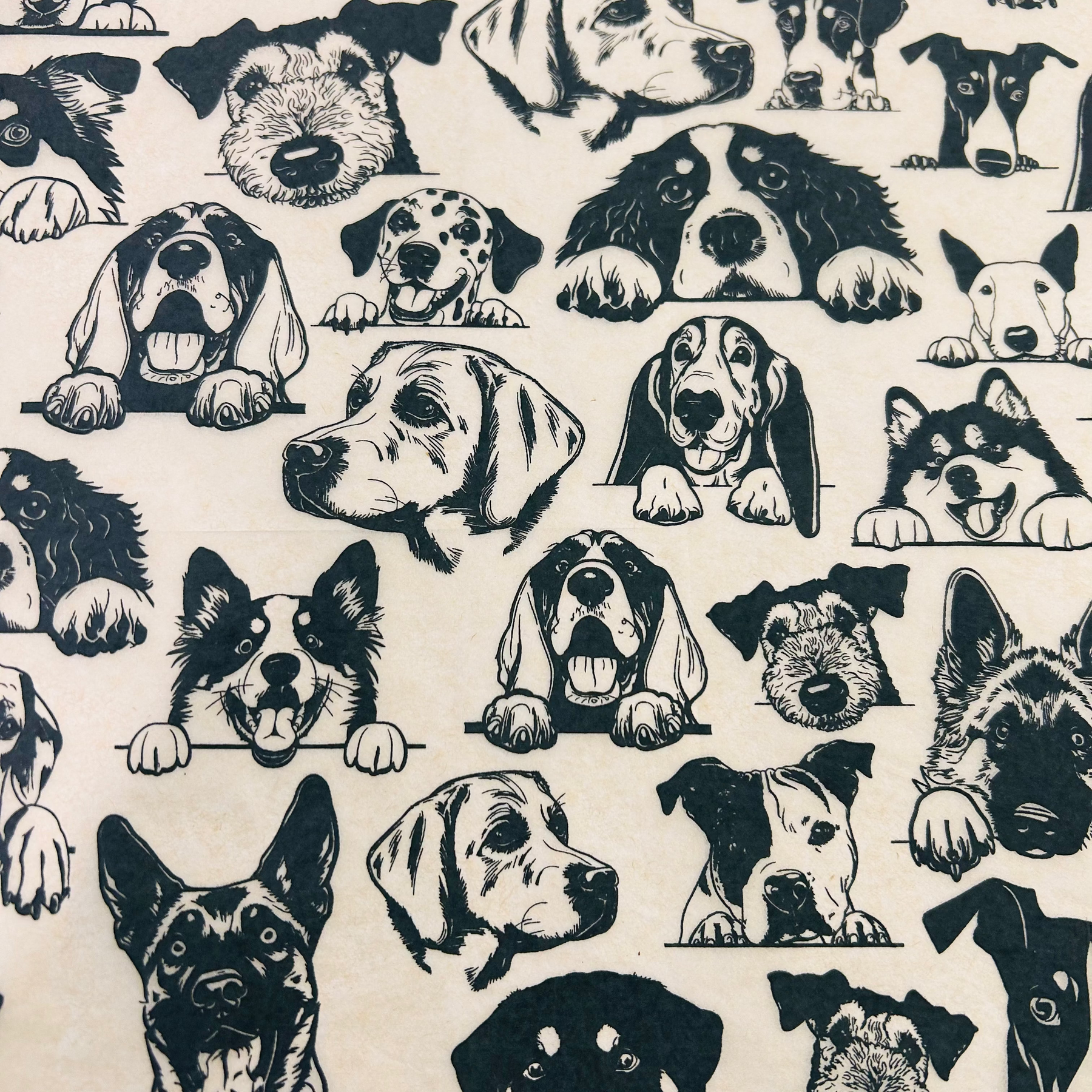 Zany Dogs - Large - Underglaze Transfer Sheet