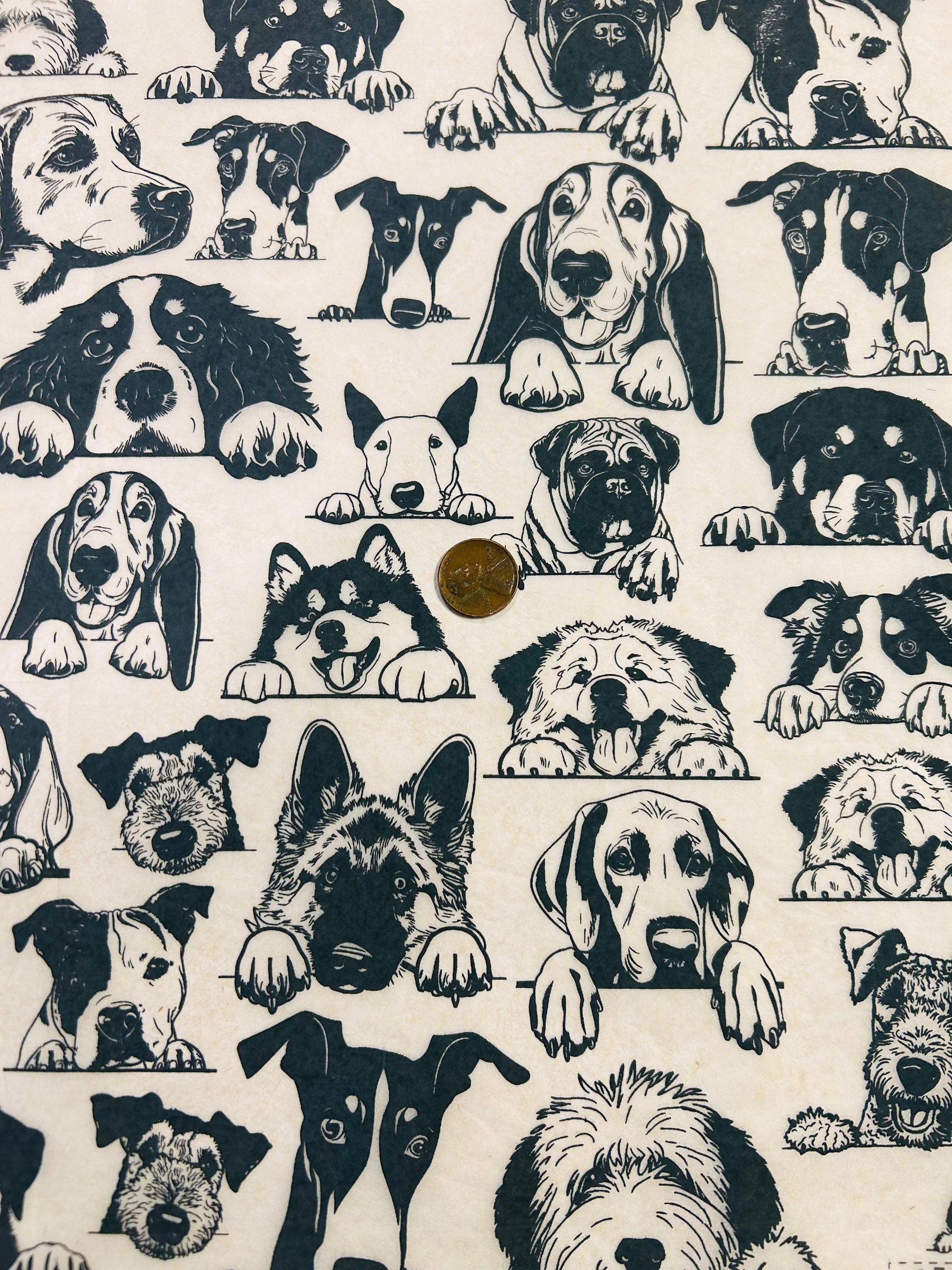 Zany Dogs - Large - Underglaze Transfer Sheet