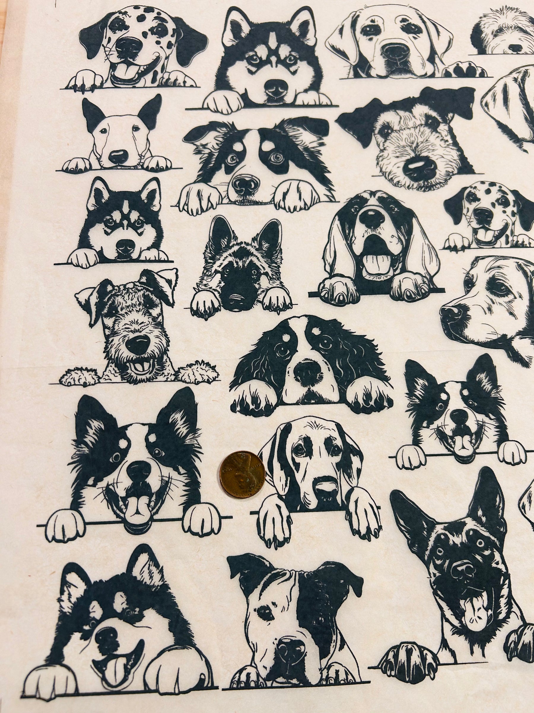 Zany Dogs - Large - Underglaze Transfer Sheet