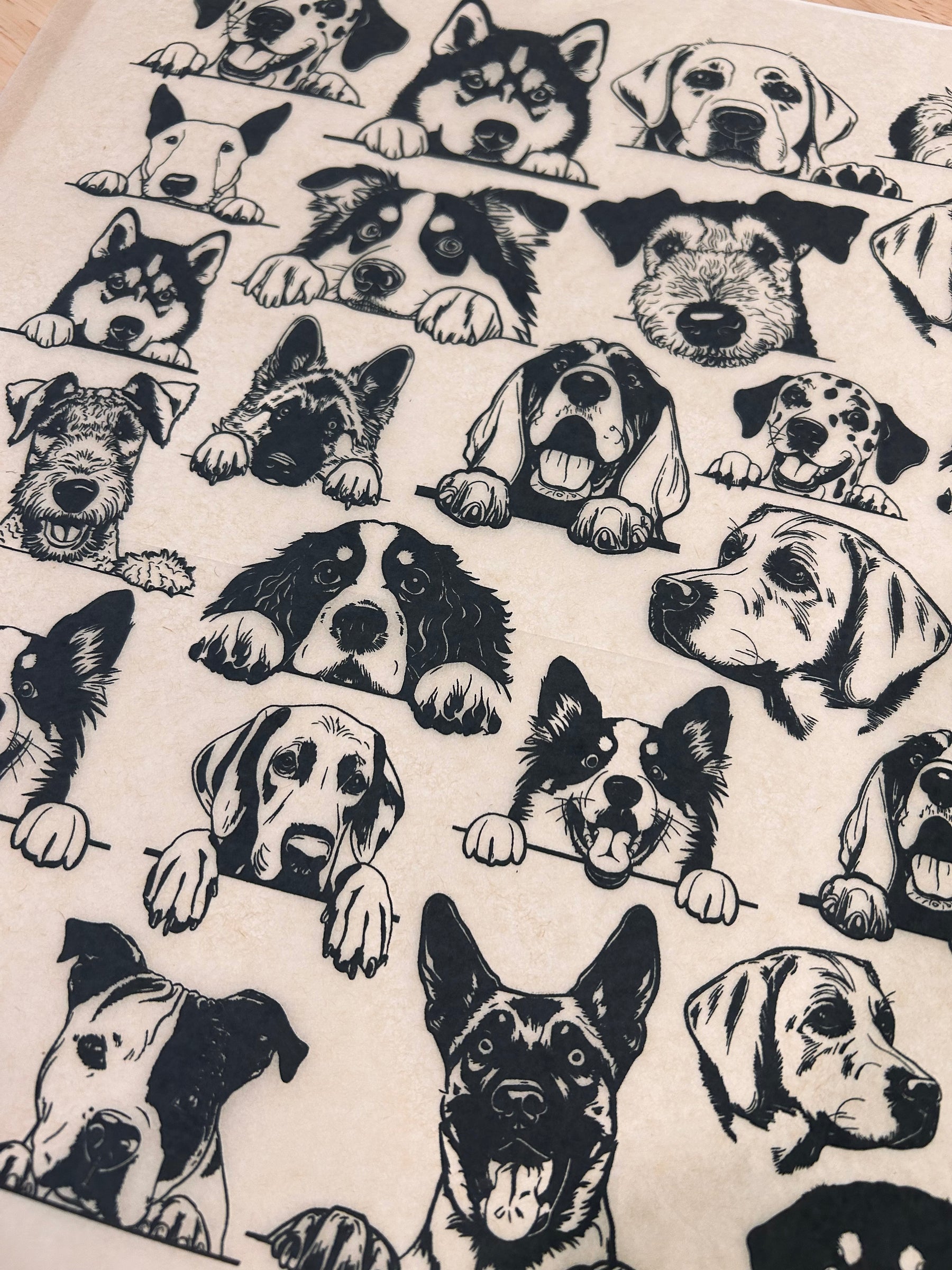 Zany Dogs - Large - Underglaze Transfer Sheet