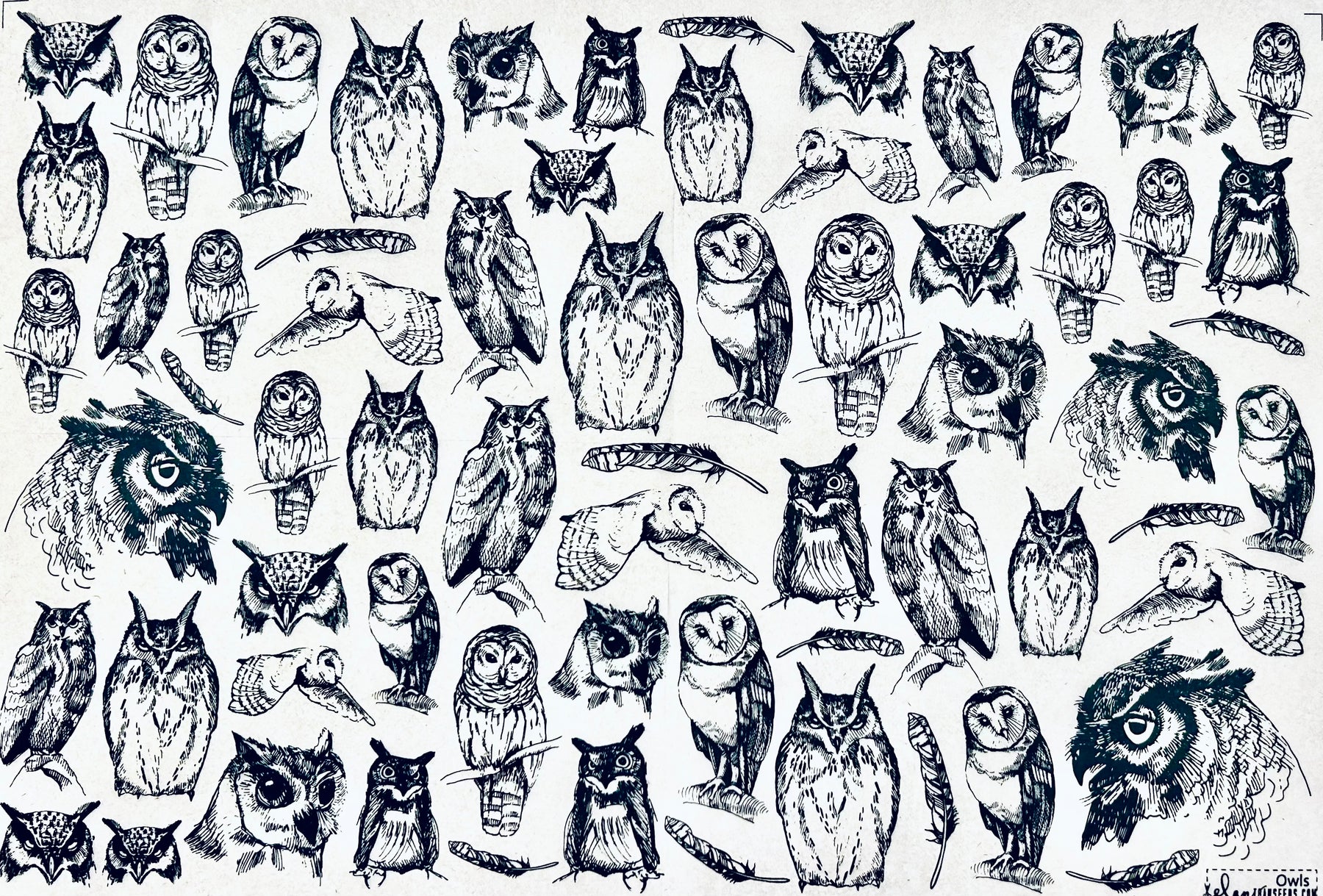 Owls - Underglaze Transfer Sheet - You Choose Color