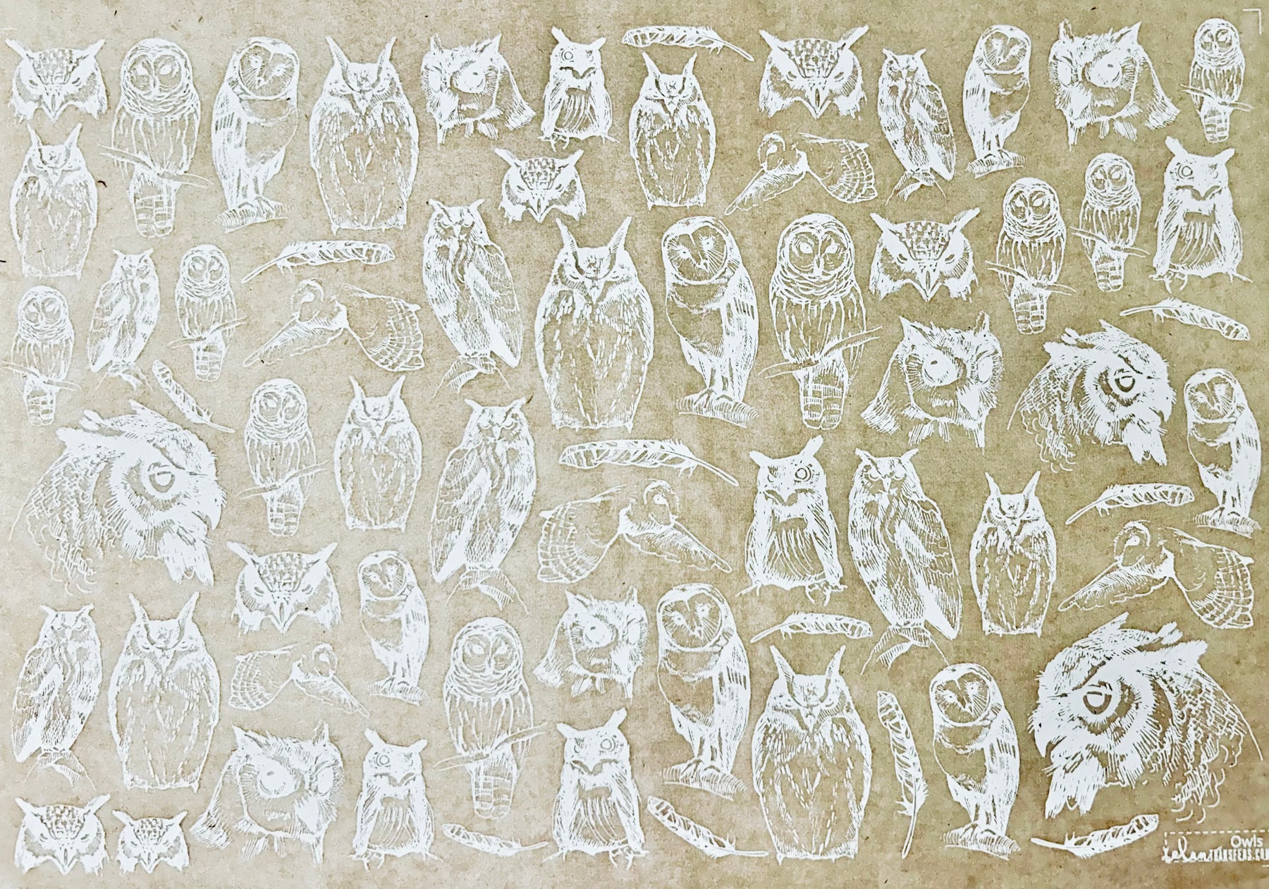 Owls - Underglaze Transfer Sheet - You Choose Color