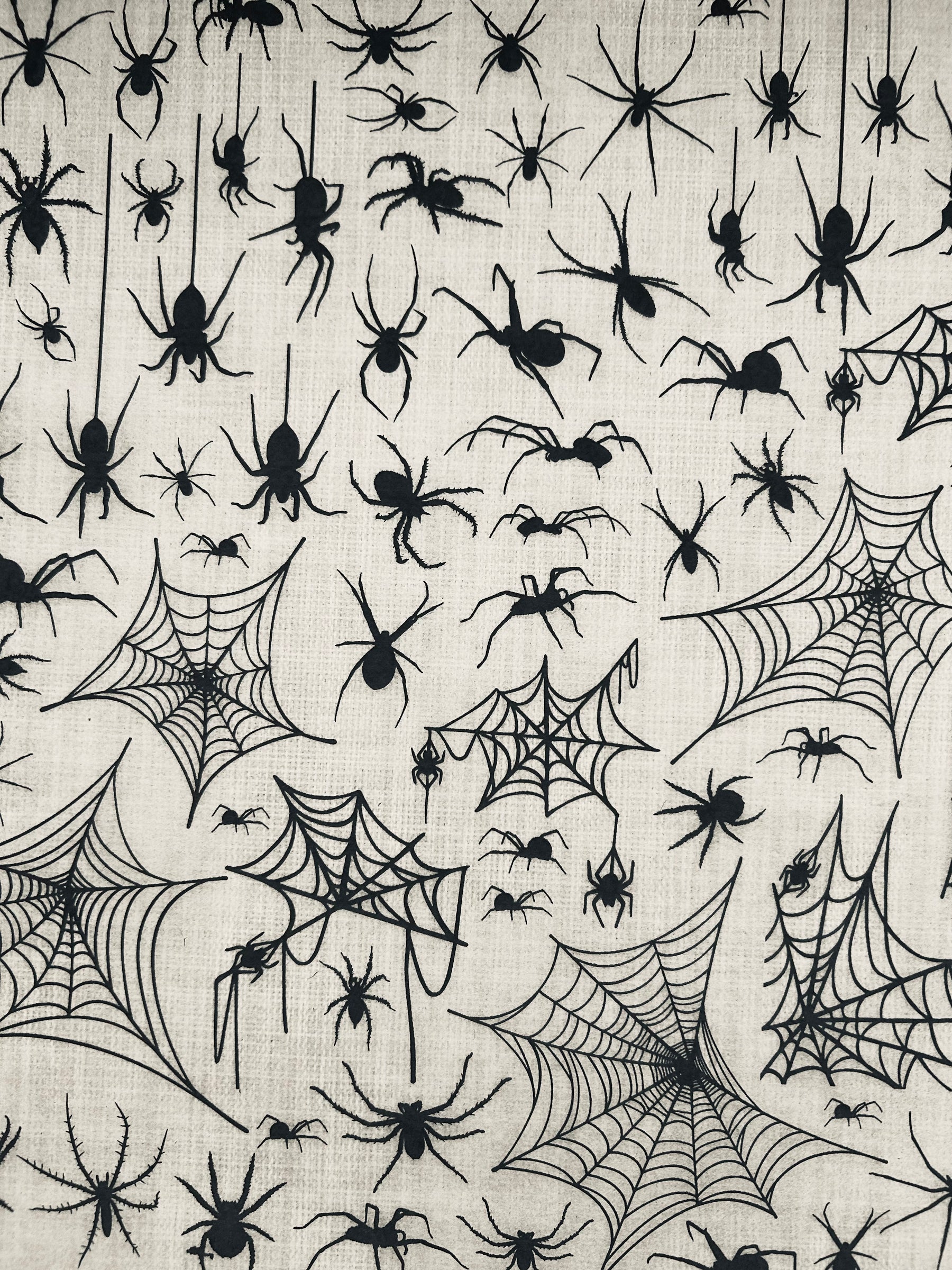 Spiders - Underglaze Transfer Sheet