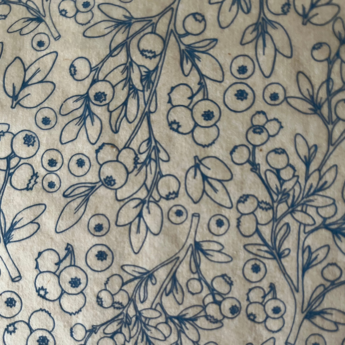 Blueberries - Underglaze Transfer Sheet - You Choose Color