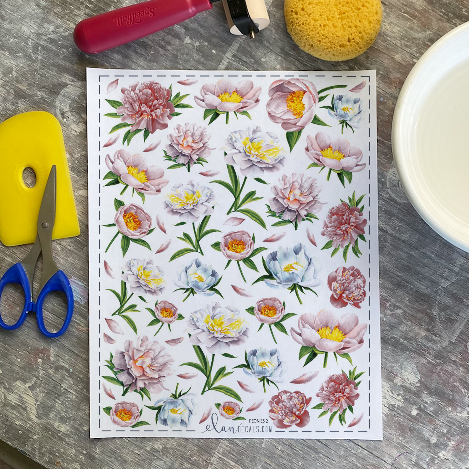 Peonies - Overglaze Decal Sheet