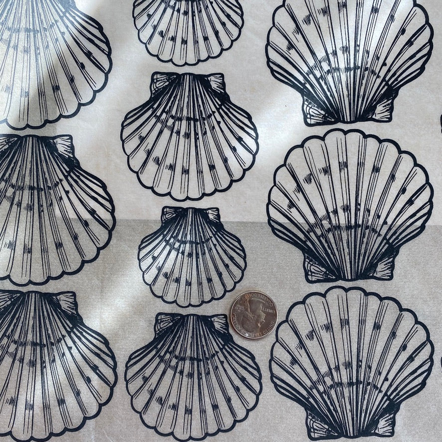 Shells Scallop - Underglaze Transfer Sheet - You Choose Color