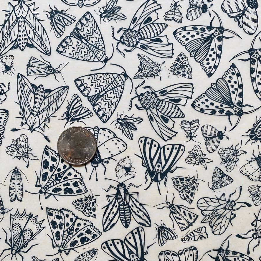 Moths - Underglaze Transfer Sheet - You Choose Color