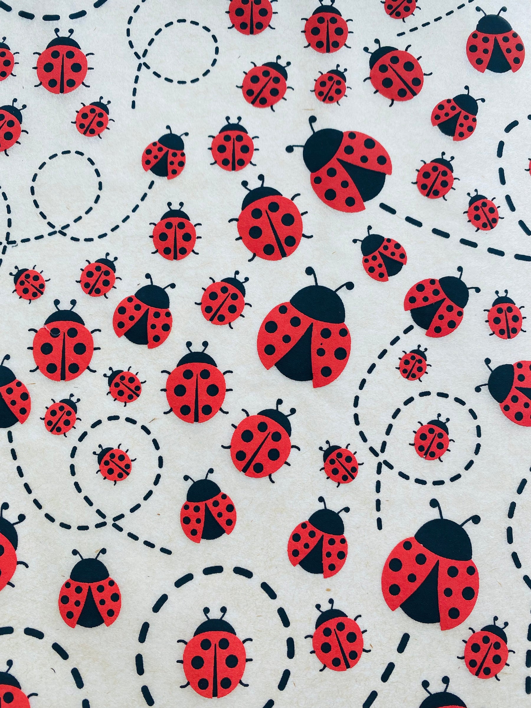 Lady Bugs - Underglaze Transfer Sheet - Multi Colored