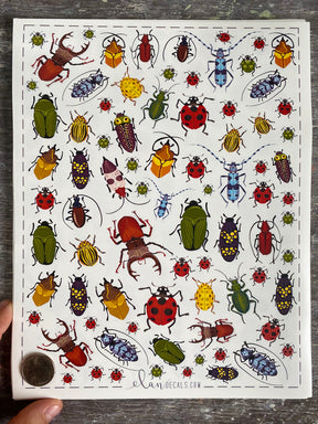 Beetles - Overglaze Decal Sheet