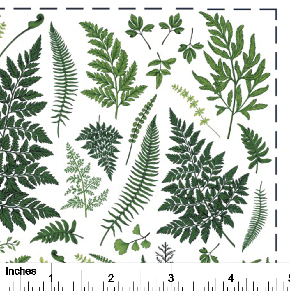 Ferns - Overglaze Decal Sheet