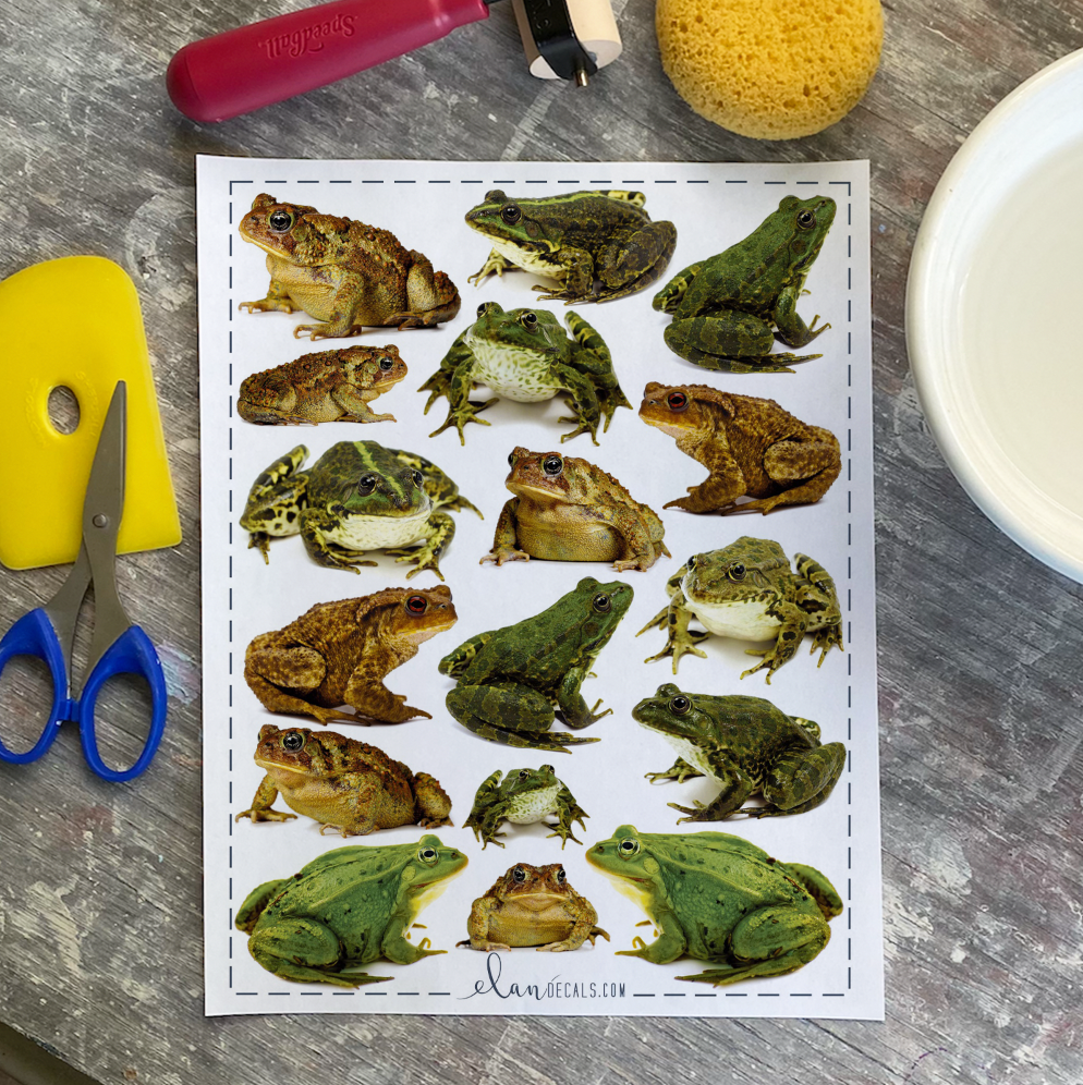 Toads from Photo - Overglaze Decal Sheet