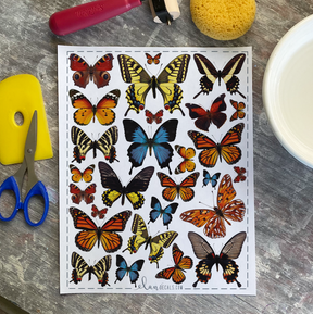 Butterflies from Photo - Overglaze Decal Sheet