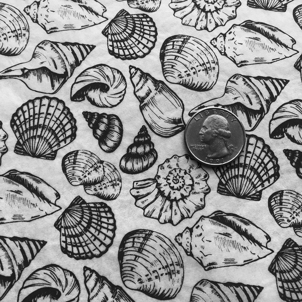 Shells Multi - Underglaze Transfer Sheet - Black