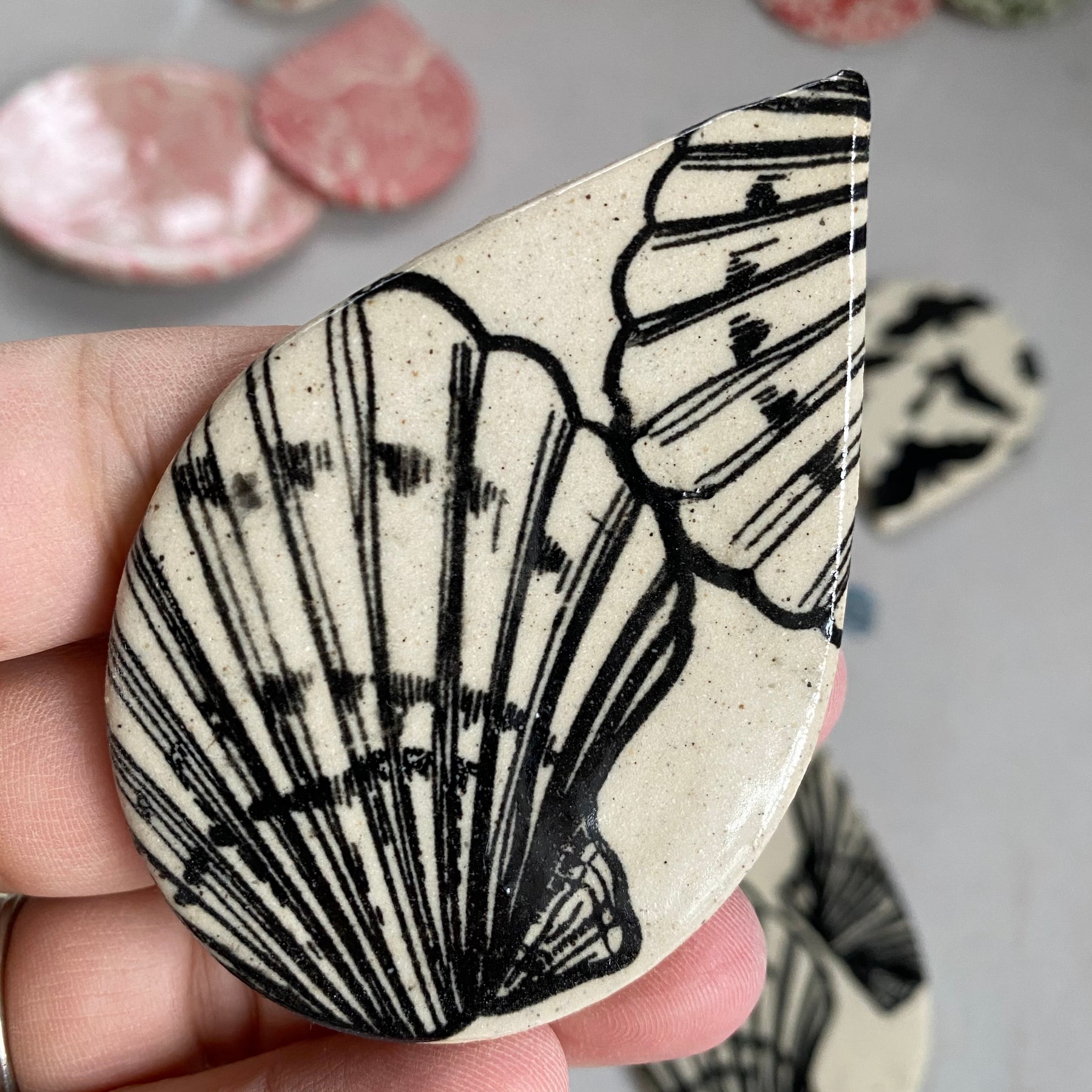 Shells Scallop - Underglaze Transfer Sheet - You Choose Color