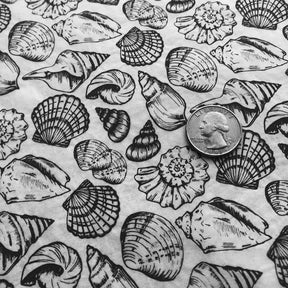 Shells Multi - Underglaze Transfer Sheet - Black